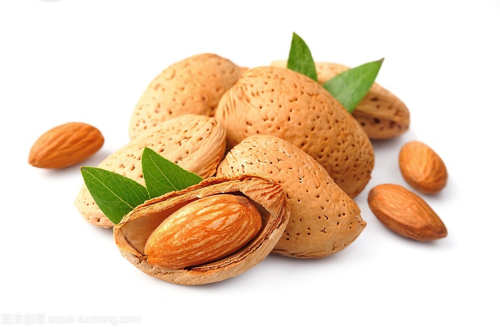 杏仁堅果的葉子與果實 自然共生的綠色饋贈