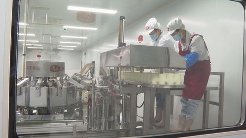 客家鹽焗 休閑食品市場(chǎng)新賽道，如何圈粉年輕人？