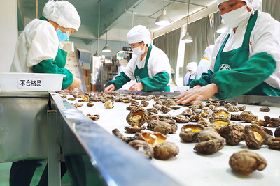 百興食品 風(fēng)口搶'鮮'，預(yù)制菜香飄海內(nèi)外
